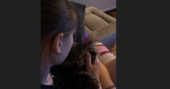 clemence pet sitter à OSTRICOURT 59162_1