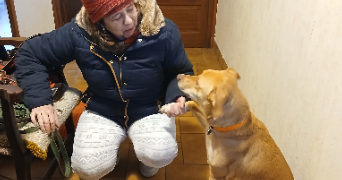 isabelle pet sitter à CARCASSONNE 11000_2