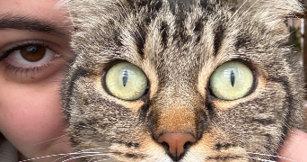 léa pet sitter à Châtelaillon-plage 17340_2