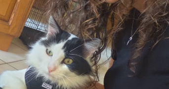 lissy pet sitter à LIÈGE 4020_3