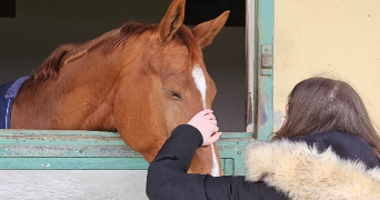 inès pet sitter à SAUMUR 49400_0