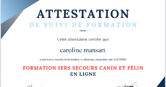 caroline cat sitter à ORPHIN 78125_3