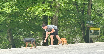 pierre pet sitter à SAYAT 63530_1