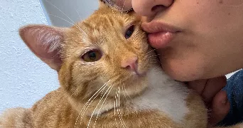 aurane pet sitter à SERVON 77170