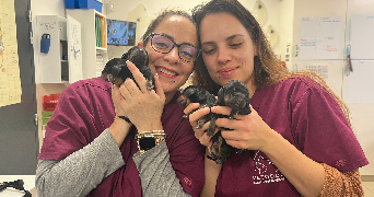 marlène pet sitter à Serignan 34410_4