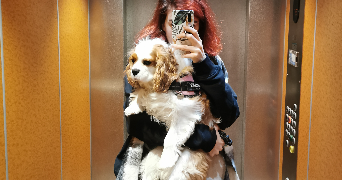 solene pet sitter à PARIS 20 75020_1