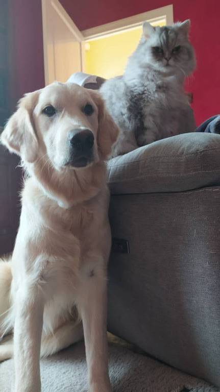 lola pet sitter à AGEN 47000_3