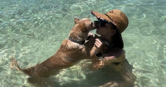 marine pet sitter à MONTPELLIER 34000_0