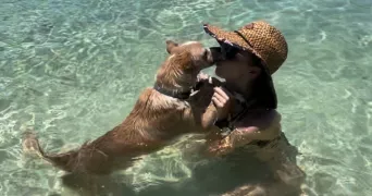 marine pet sitter à MONTPELLIER 34000