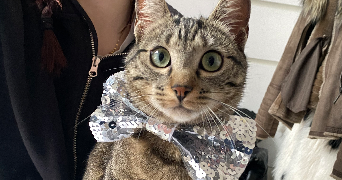 ilona pet sitter à PARIS 13 75013_2