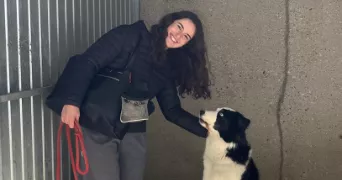 pauline pet sitter à MORANCE 69480