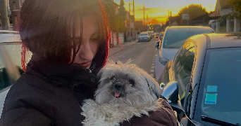 lorie pet sitter à NEUILLY SUR MARNE 93330_0