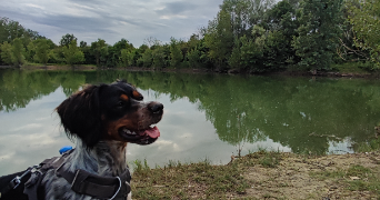 chloé pet sitter à VAUGNERAY 69670_1
