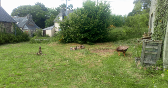 jodie pet sitter à SCRIGNAC 29640_2