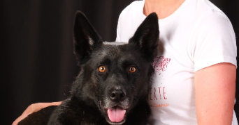 pascaline pet sitter à GRANE 26400_1