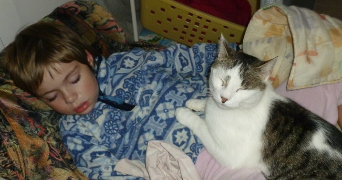 sarah pet sitter à TALENCE 33400_2