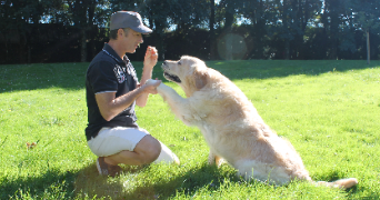 sébastian pet sitter à VANNES 56000_2