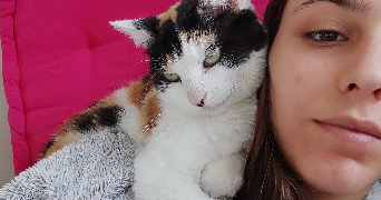 sveina pet sitter à RENNES 35000_1