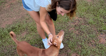carla pet sitter à BORDEAUX 33000_1