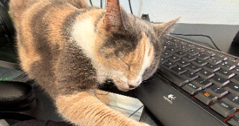 lirika pet sitter à GRESY SUR AIX 73100_6