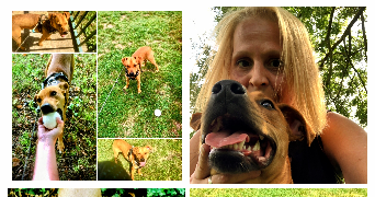 séverine  pet sitter à 59000 Lille 59000_1