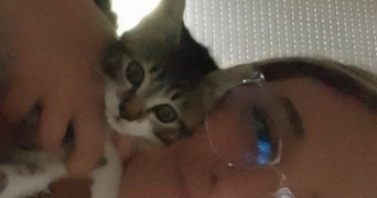 lola pet sitter à VILLEJUIF 94800_2