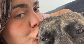 claire pet sitter à NOISY LE ROI 78590_2