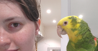 isabelle pet sitter à MAISONS ALFORT 94700_8