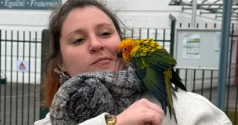 marion pet sitter à LONGUEIL STE MARIE 60126