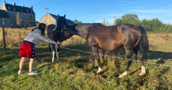 louisa pet sitter à NIMES 30000_6