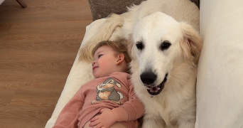 gaetan pet sitter à AVION 62210_3