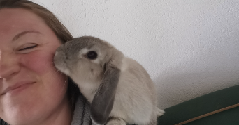 manon pet sitter à PONT ST MARTIN 44860_11