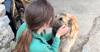 léa pet sitter à PARIS 15 75015_3