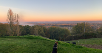 béatrice pet sitter à ST SEURIN SUR L ISLE 33660_2