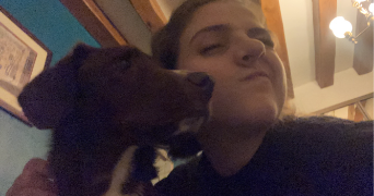 emilie pet sitter à LILLE 59000_3