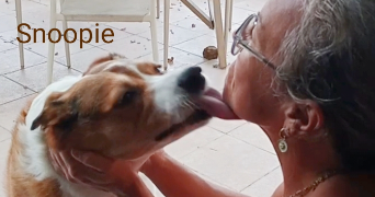 valérie pet sitter à Le Thor 84250_59