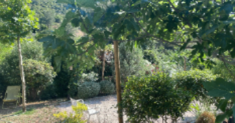 jehanne-lys pet sitter à MARSEILLE 09 13009_1