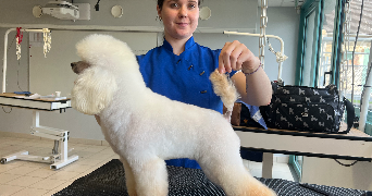 oceane pet sitter à Saint Nicolas Lez Arras 62223_5