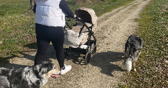 olivia pet sitter à SEVREMOINE 49230_3