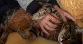 sarah pet sitter à ANNECY 74000_3