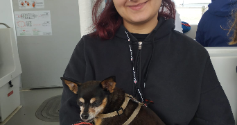maelle pet sitter à LILLE 59000_1