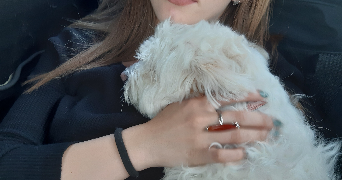 aya pet sitter à AIX EN PROVENCE 13540_2