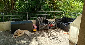 ewa-marion pet sitter à ECKBOLSHEIM 67201_4