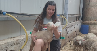 valentine pet sitter à TOULON 83000_0