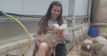 valentine pet sitter à TOULON 83000