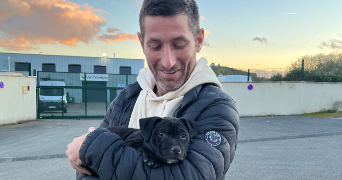 melanie pet sitter à IS SUR TILLE 21120_6
