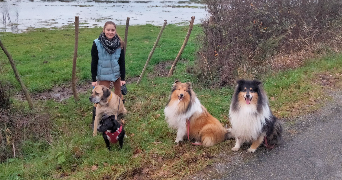 Laura pet sitter à CORDEMAIS 44360_2