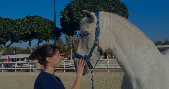 heloïse pet sitter à ANNAY 62880_0