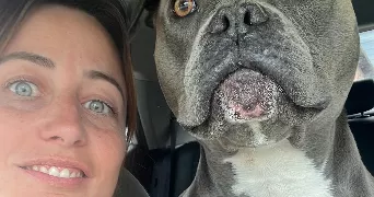 marie pet sitter à CISSAC MEDOC 33250
