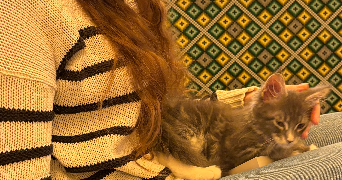 lossa  pet sitter à LA ROCHELLE 17000_2